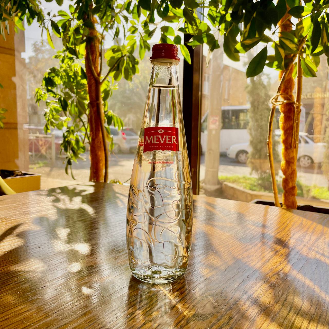 Горная 0,5L Мевер Рандеву